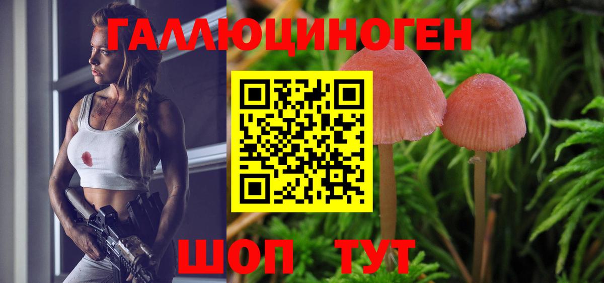 Галлюциногенные грибы MAGIC MUSHROOMS  Вход с VPN  Мурино  Псилоцибиновые грибы Cubensis 